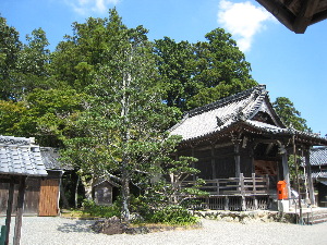 柳原観音千福寺