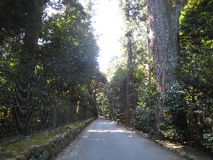 瀧原宮の森