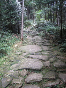 馬越(まごし)峠