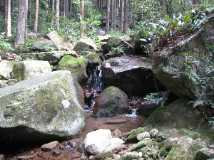 きれいな水