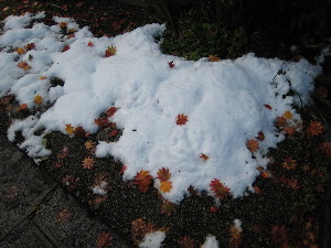 雪景色